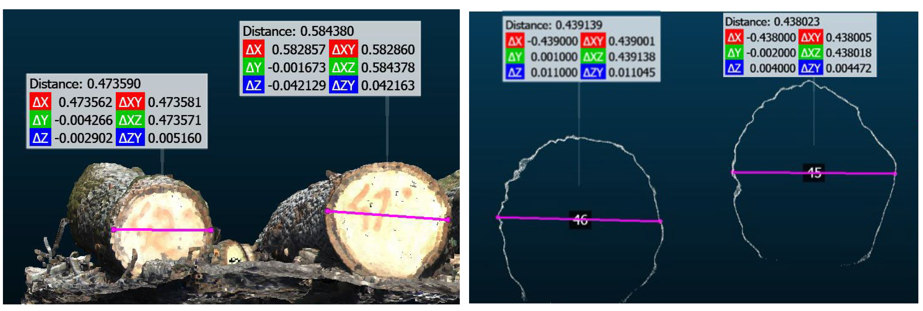 Forests 16 00421 g002