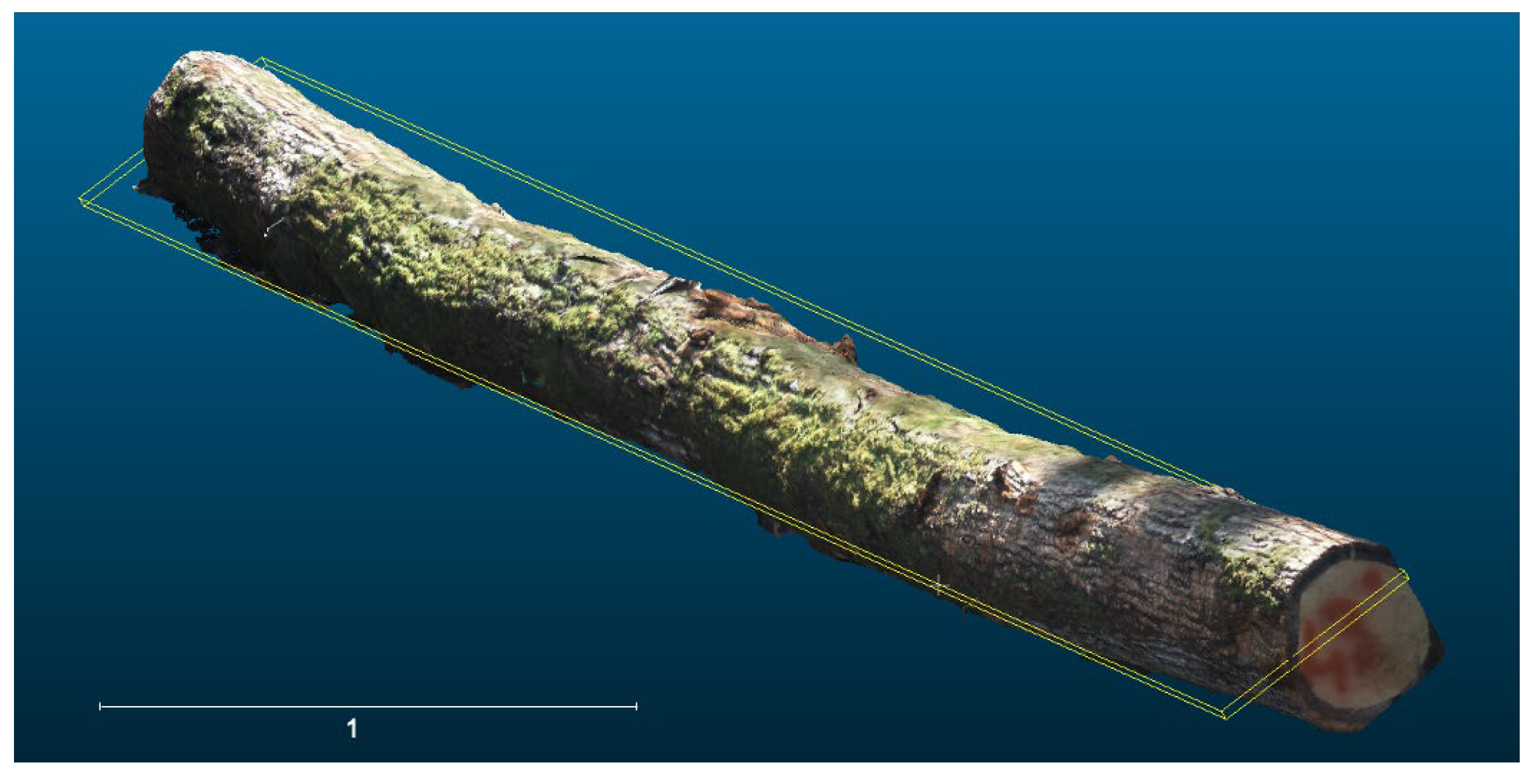 Forests 16 00421 g004