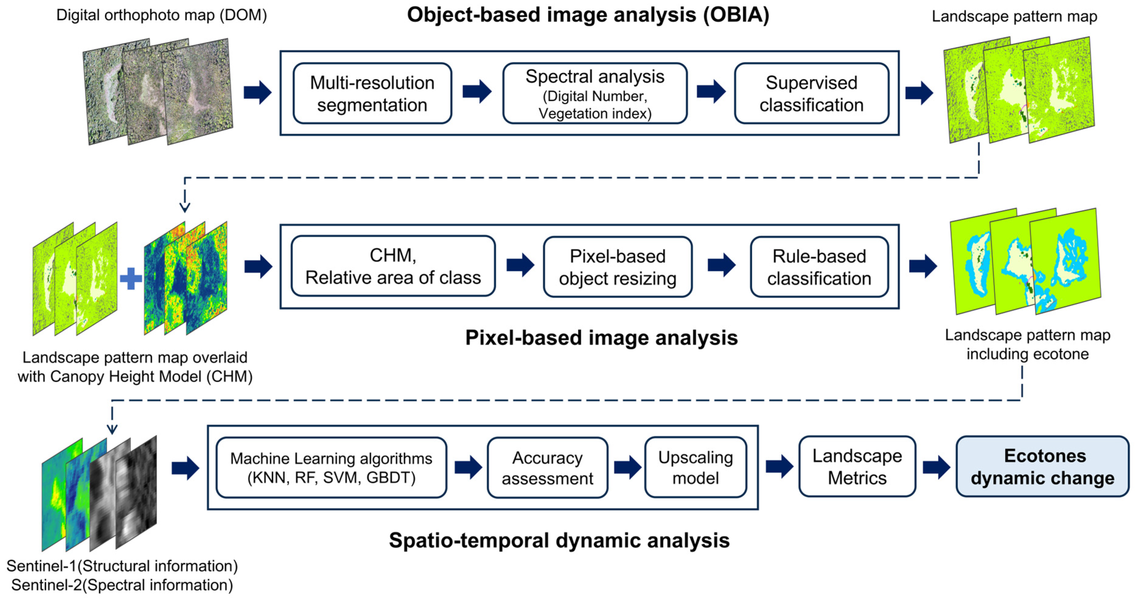 Forests 16 00422 g001