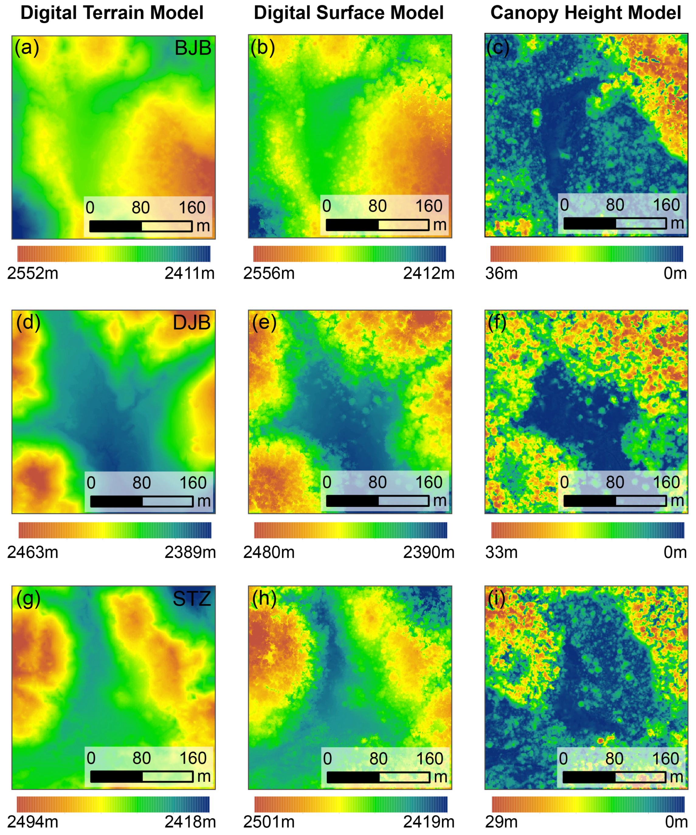 Forests 16 00422 g004