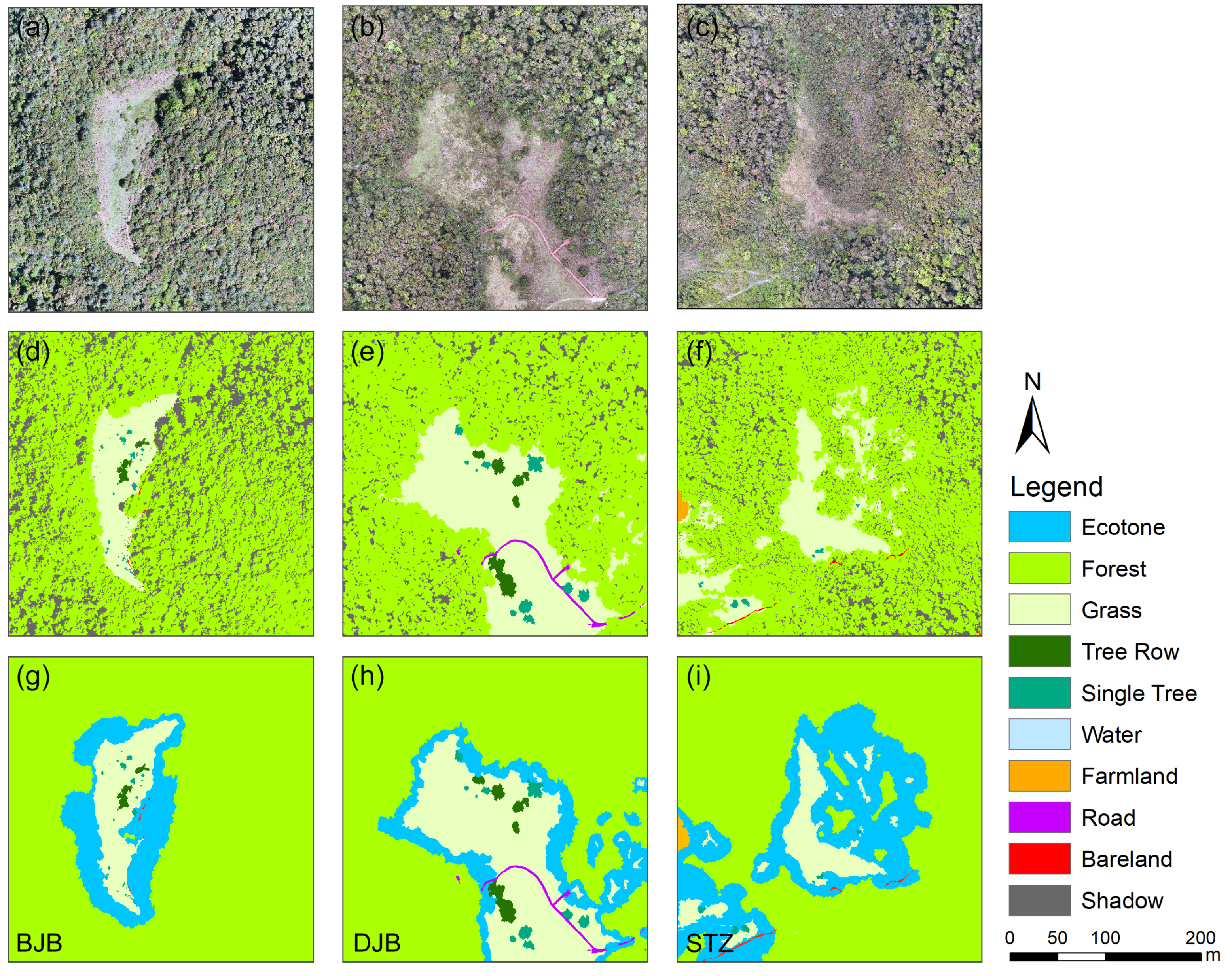Forests 16 00422 g005