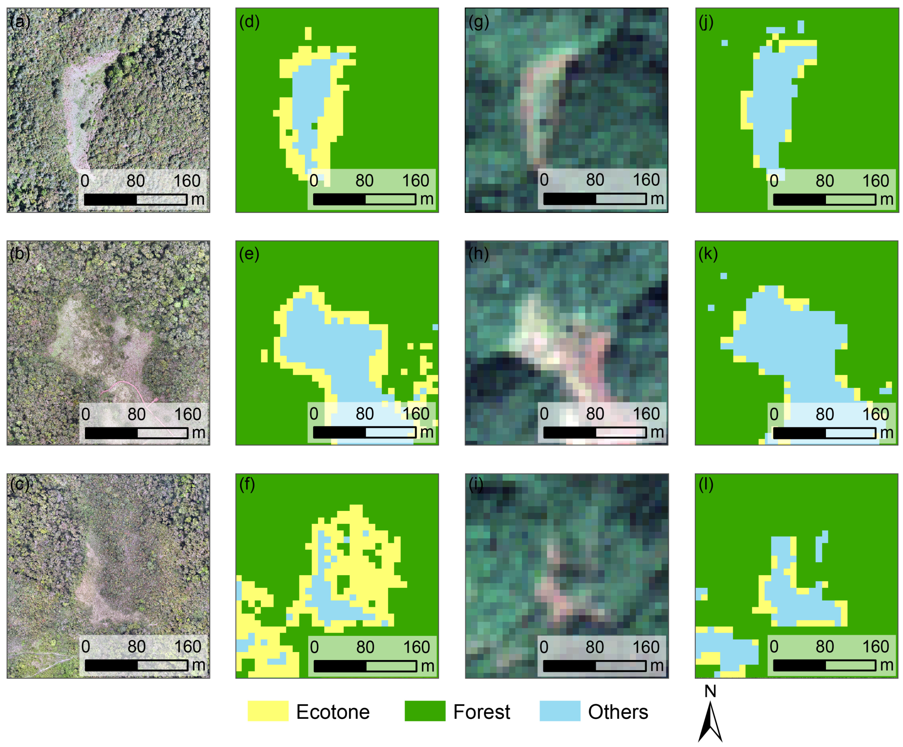 Forests 16 00422 g006