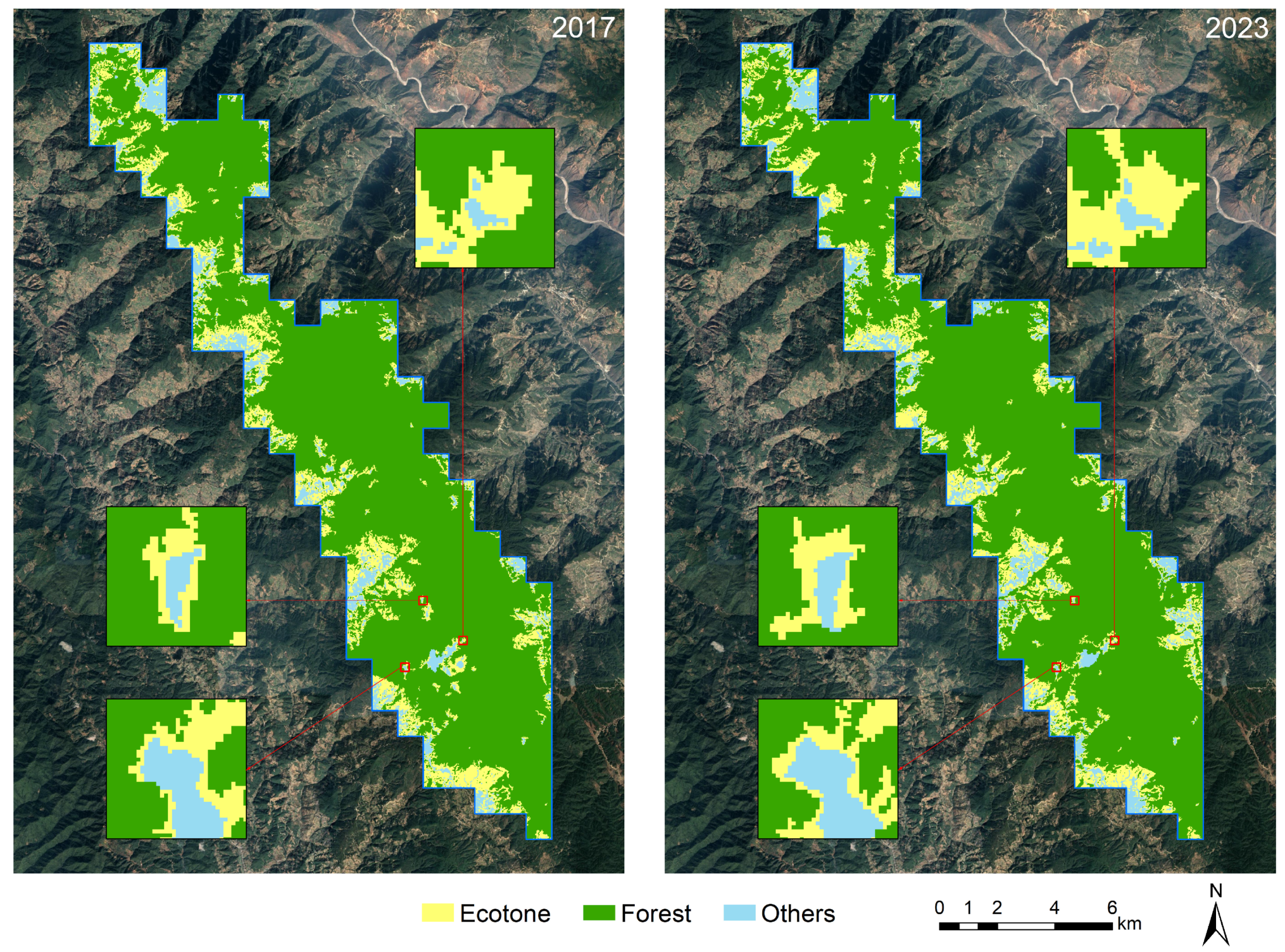 Forests 16 00422 g008