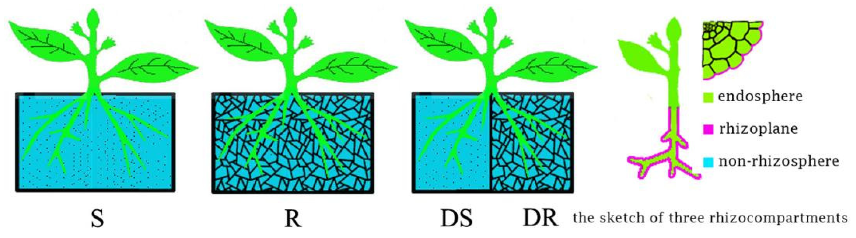 Forests 16 00425 g001