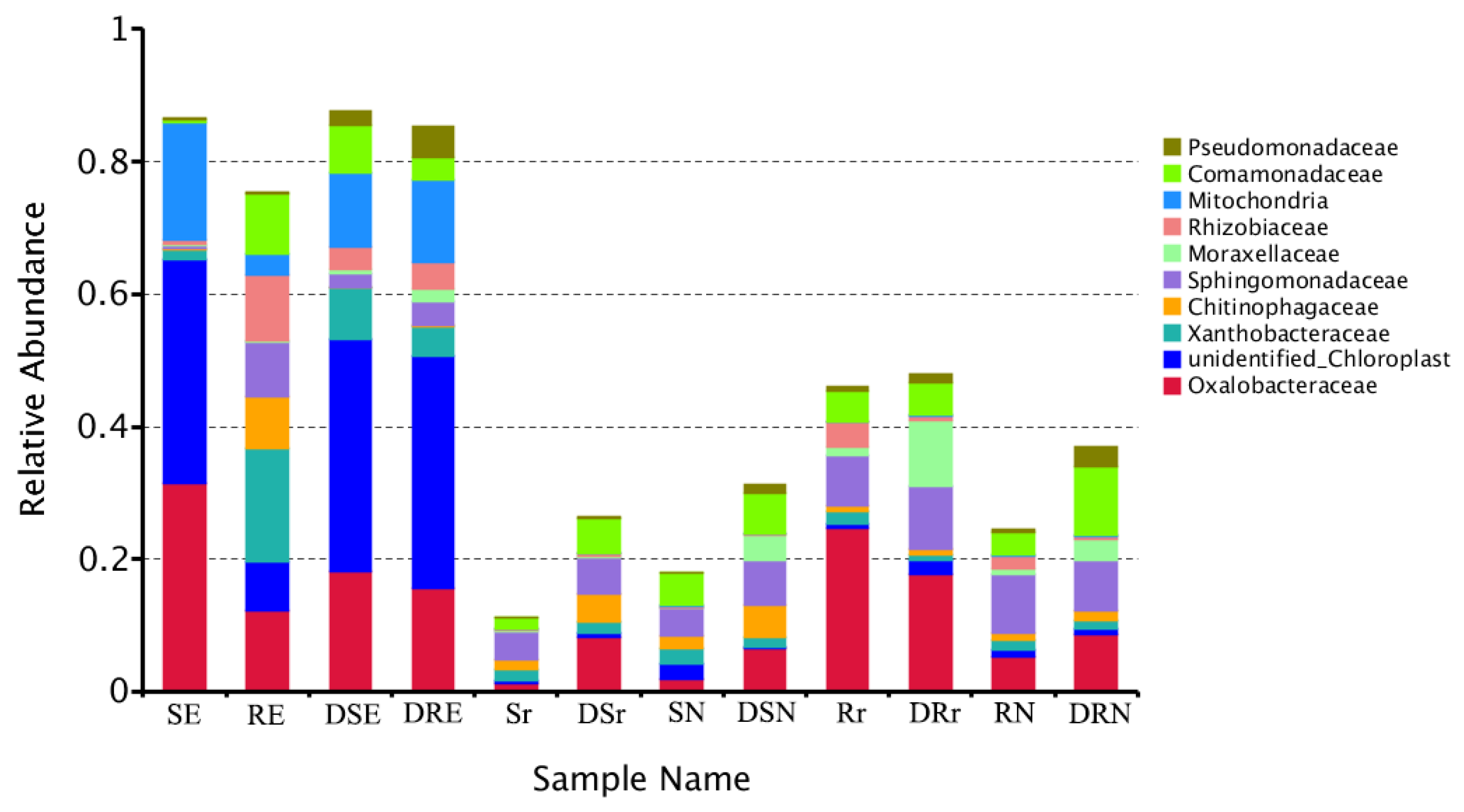 Forests 16 00425 g002