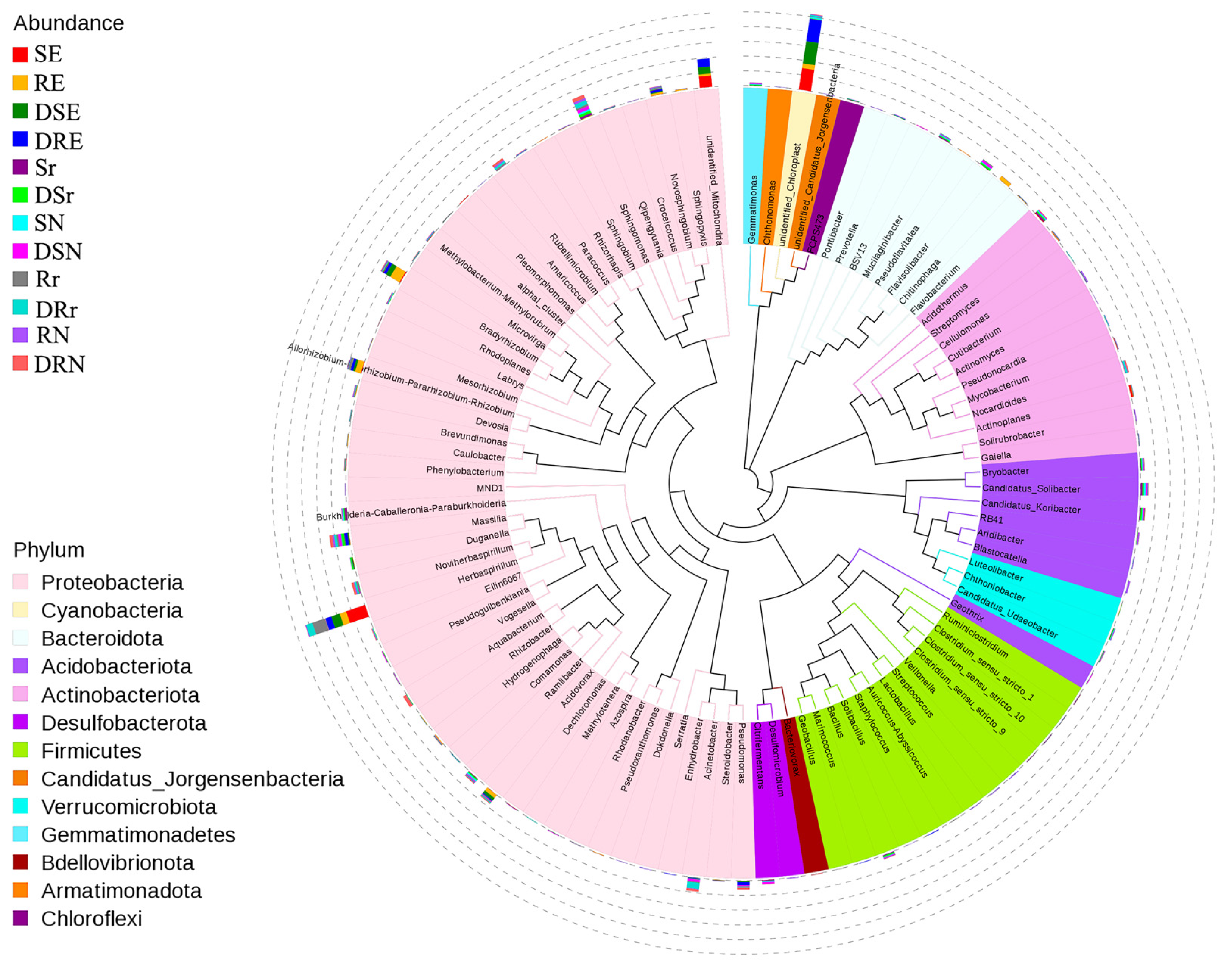 Forests 16 00425 g003
