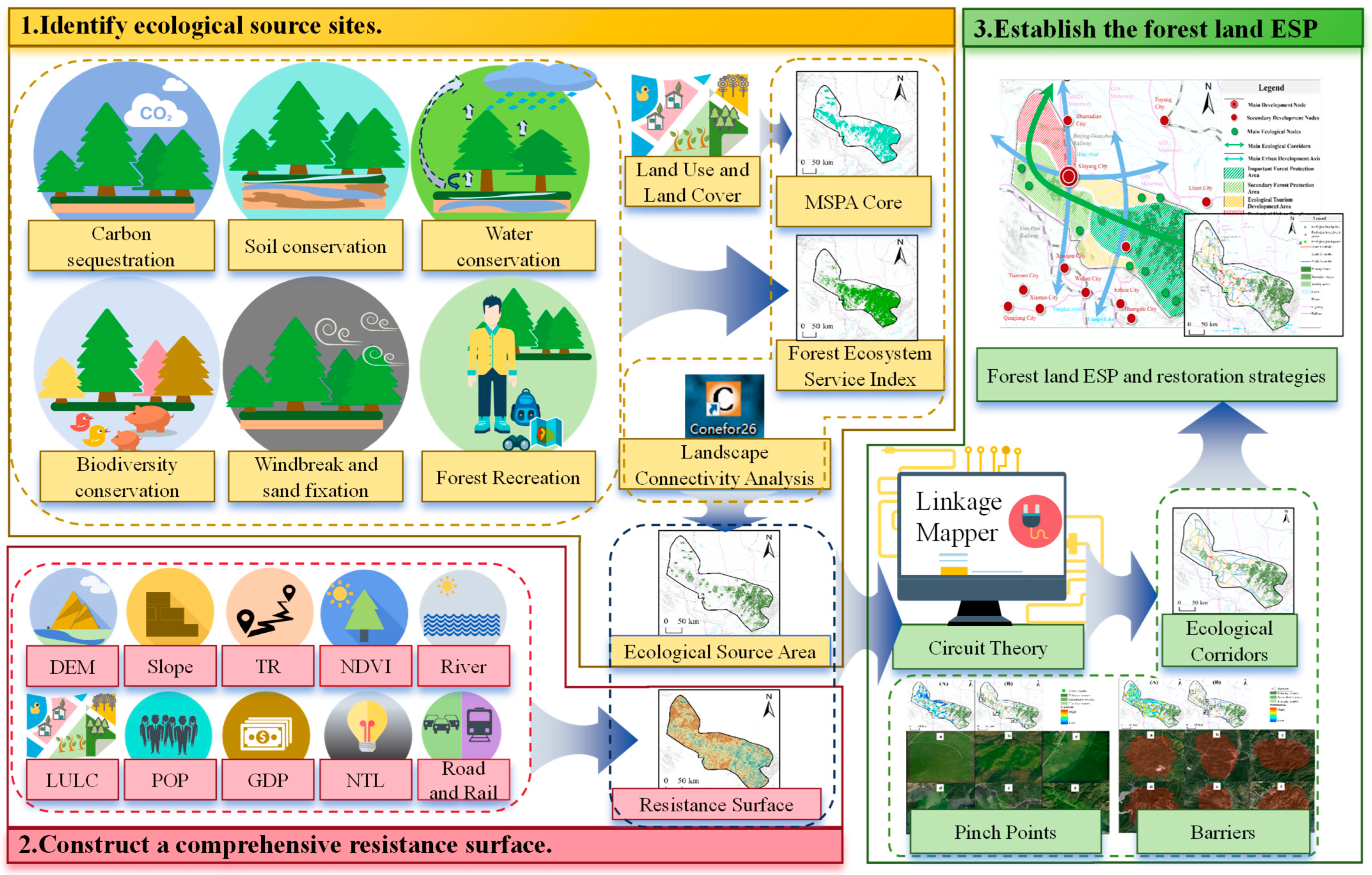 Forests 16 00426 g002