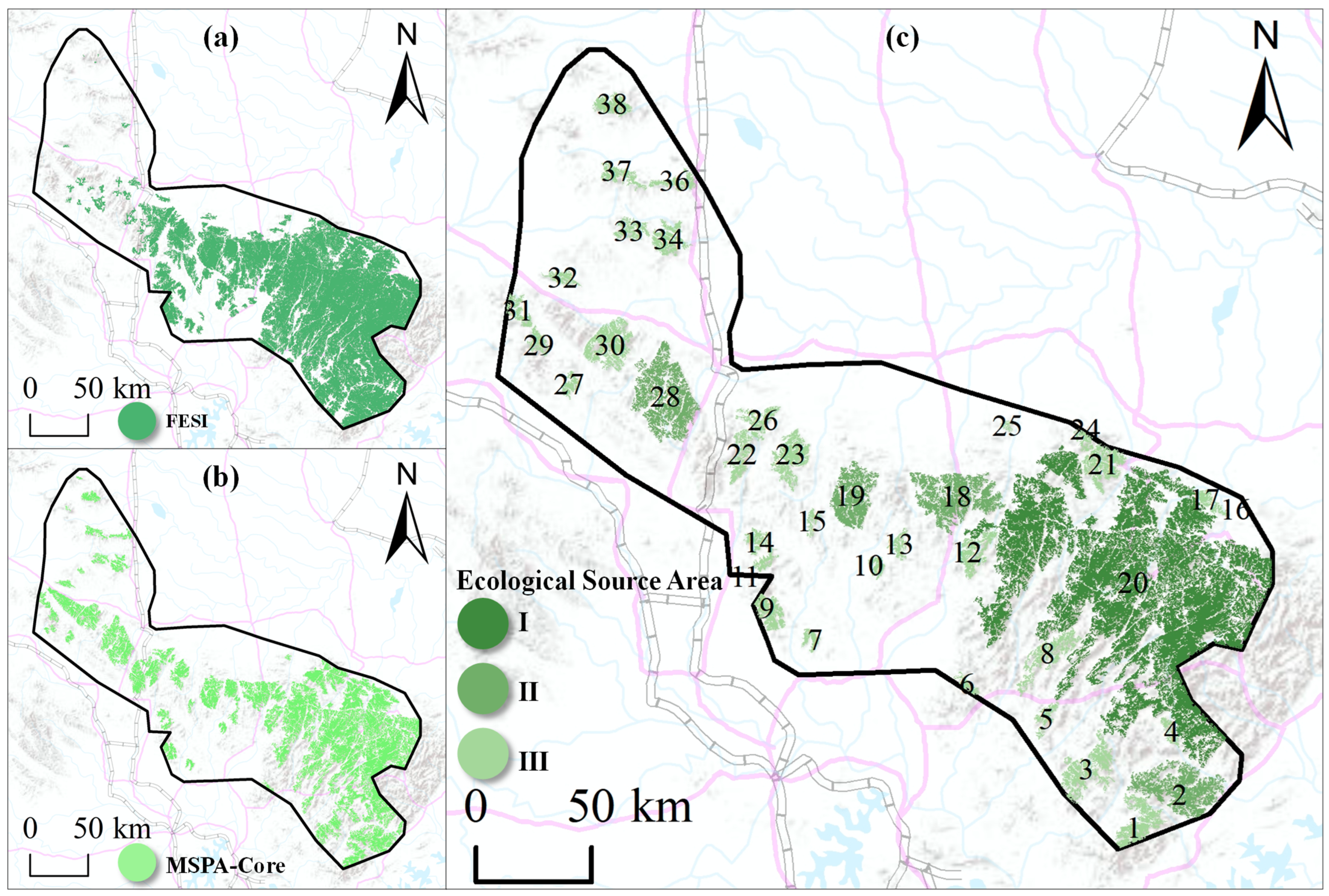 Forests 16 00426 g005