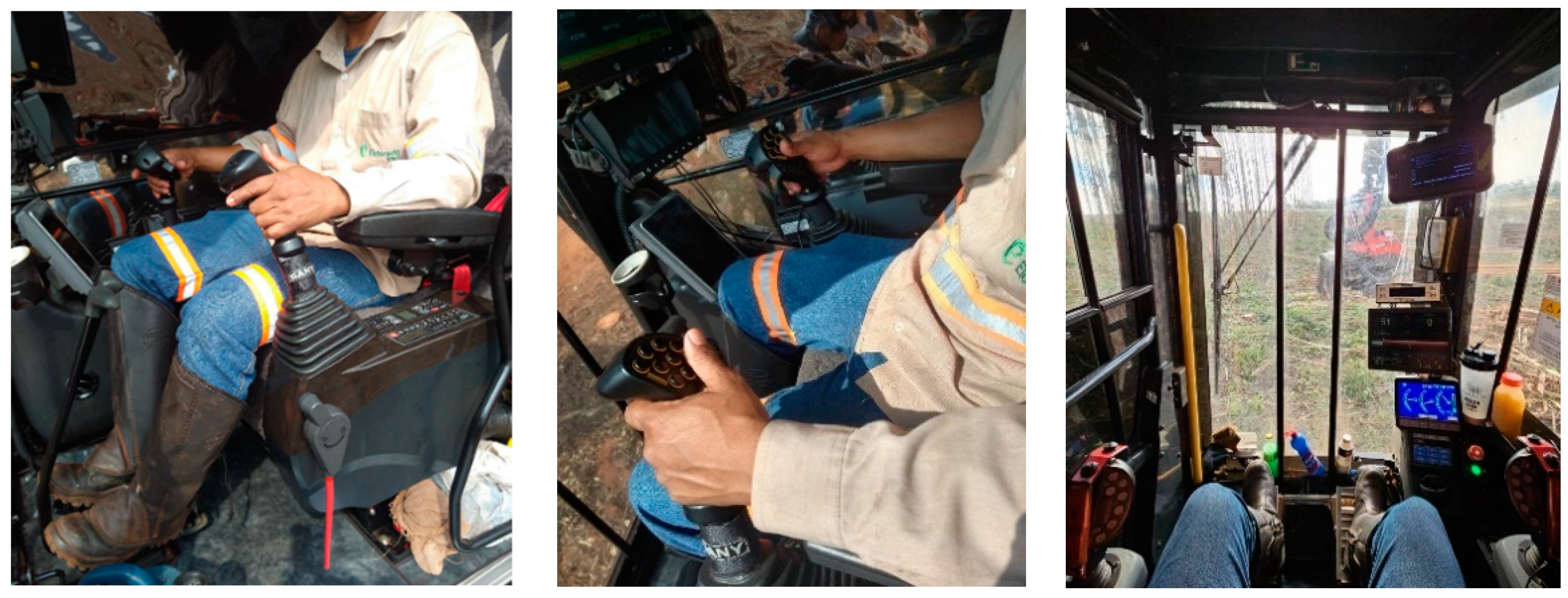 Forests 16 00429 g002