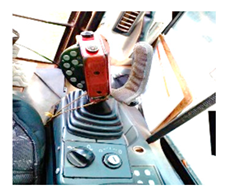 Forests 16 00429 i004