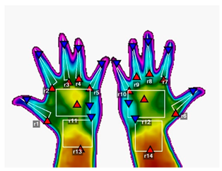 Forests 16 00429 i005
