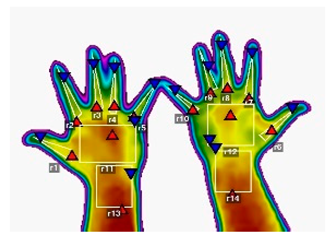Forests 16 00429 i007