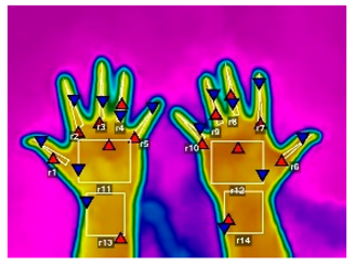 Forests 16 00429 i008