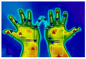 Forests 16 00429 i009