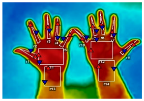 Forests 16 00429 i010