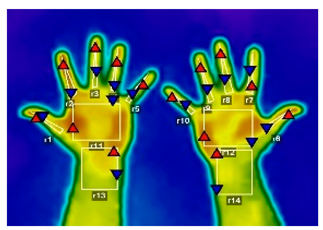 Forests 16 00429 i011