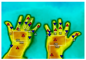 Forests 16 00429 i013