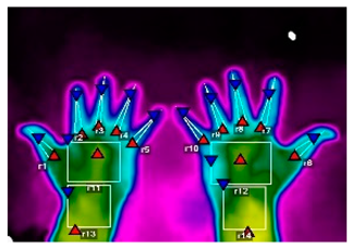 Forests 16 00429 i014