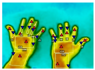 Forests 16 00429 i015