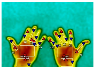 Forests 16 00429 i016