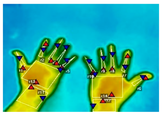 Forests 16 00429 i017