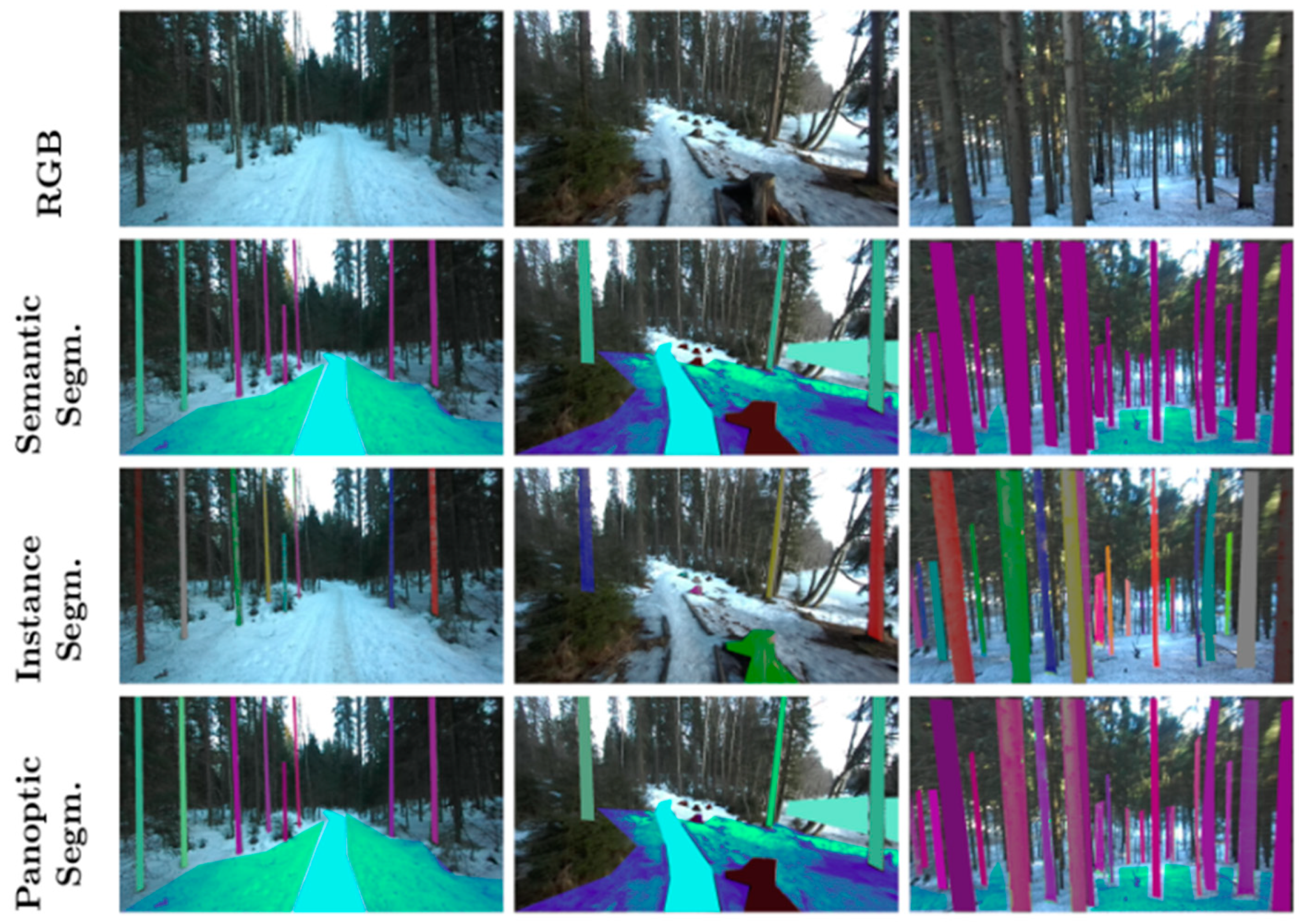 Forests 16 00431 g001 Forests 16 00431 g001