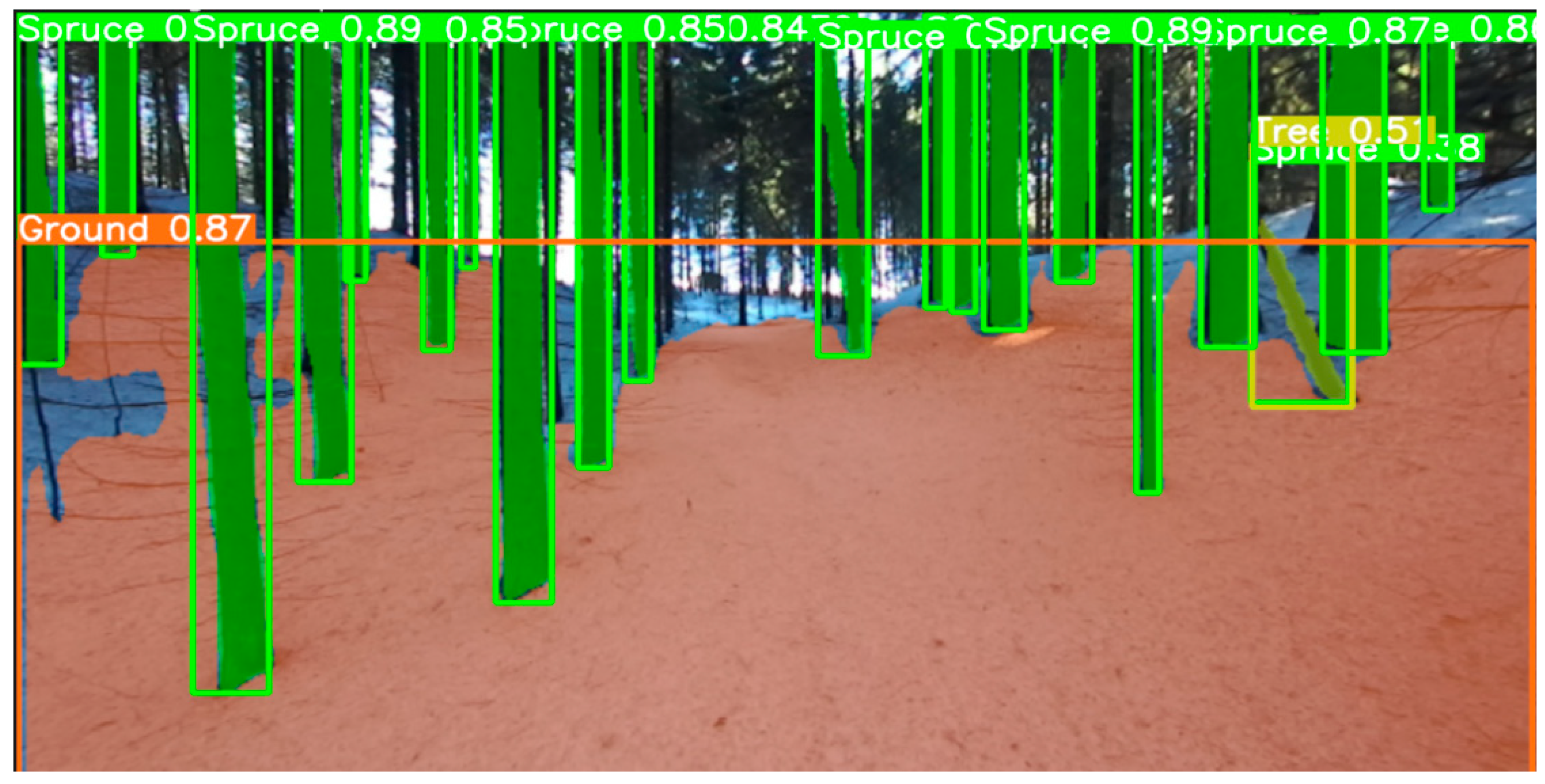 Forests 16 00431 g005 Forests 16 00431 g005