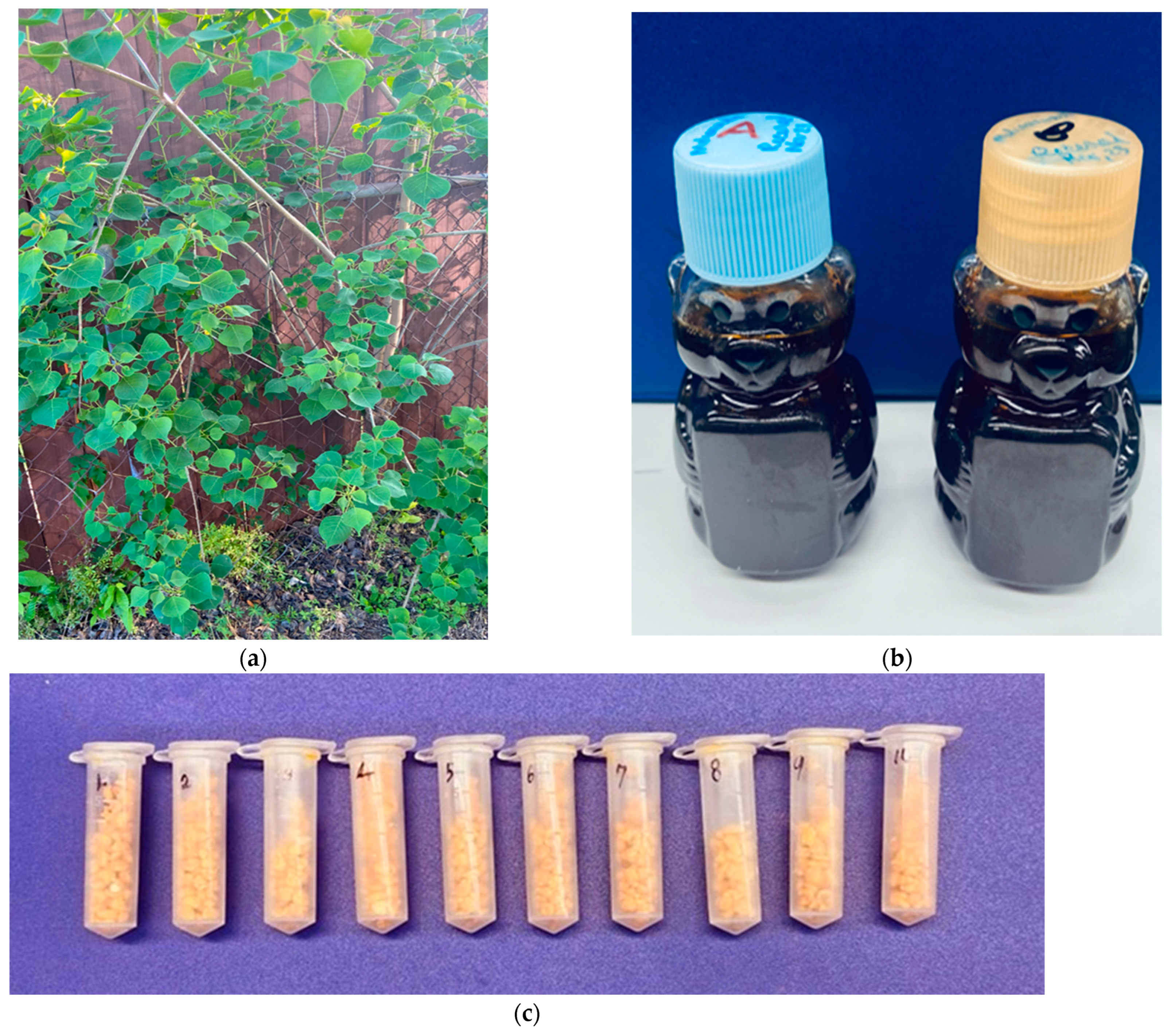 Forests 16 00437 g001a