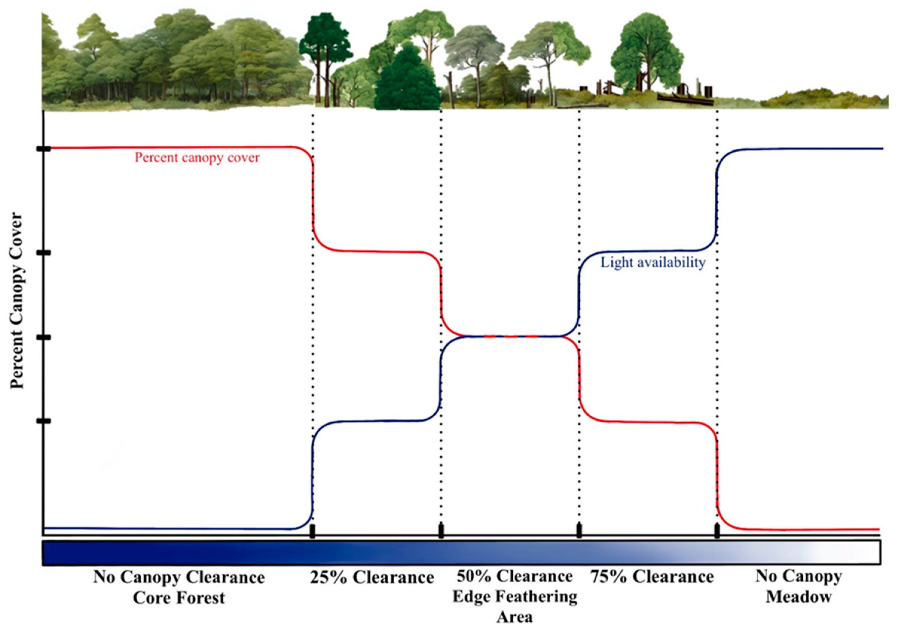 Forests 16 00441 g001