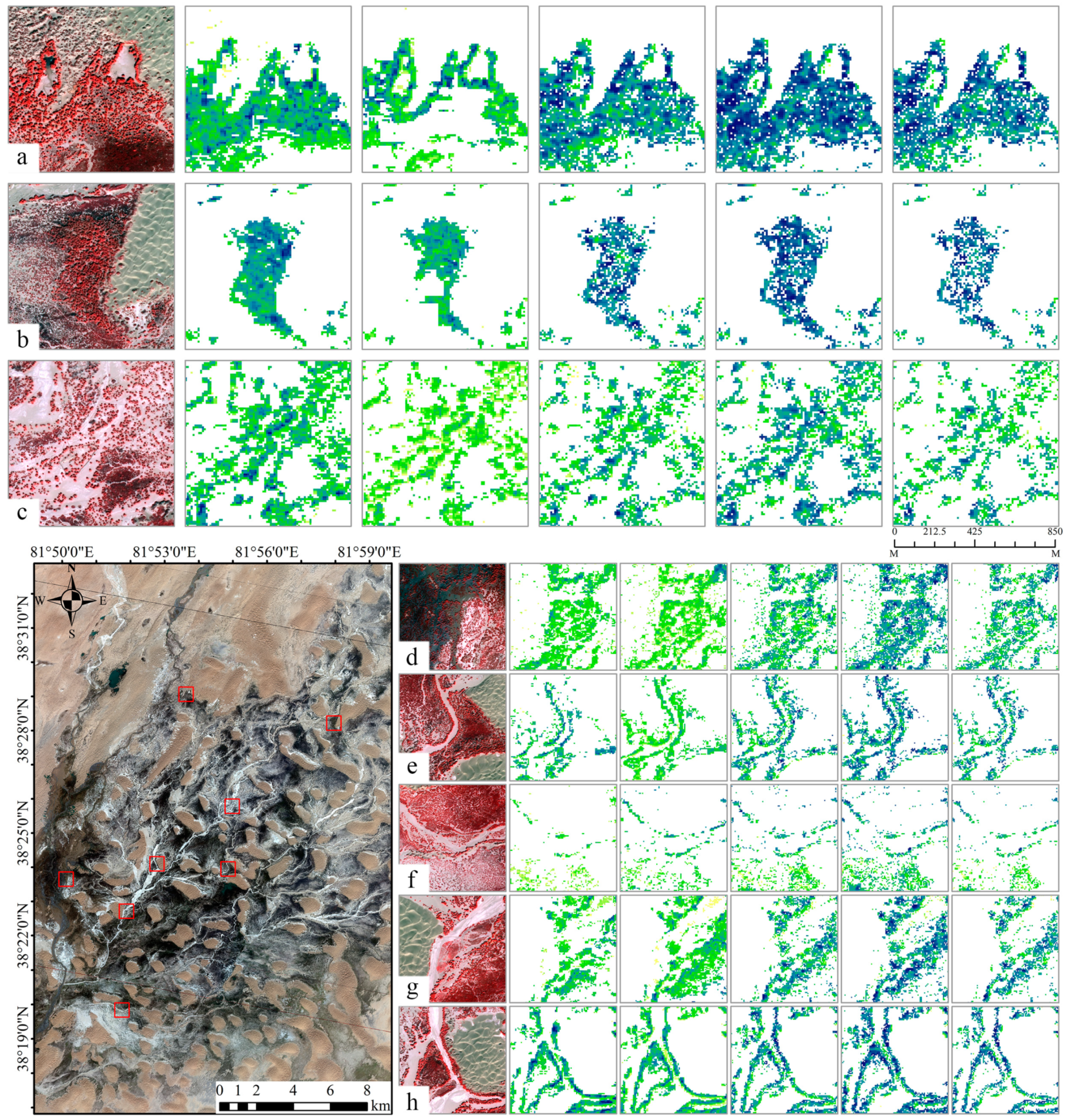 Forests 16 00447 g005