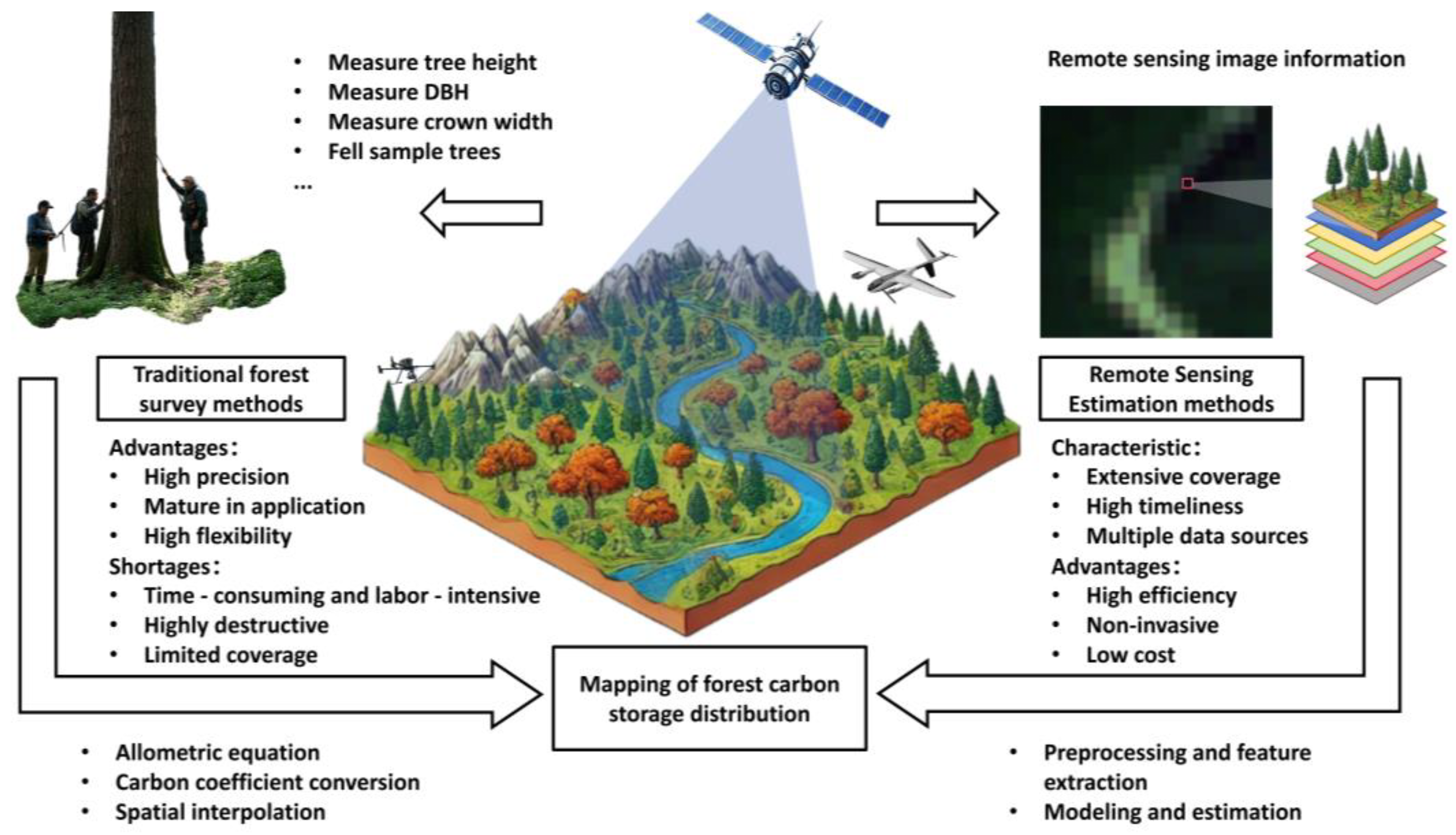Forests 16 00449 g001