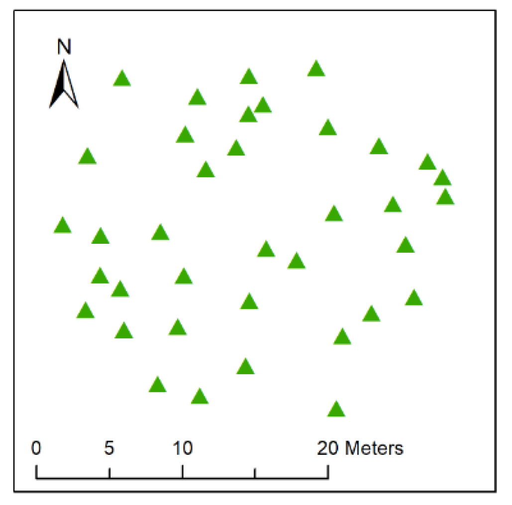 Forests 16 00457 g006