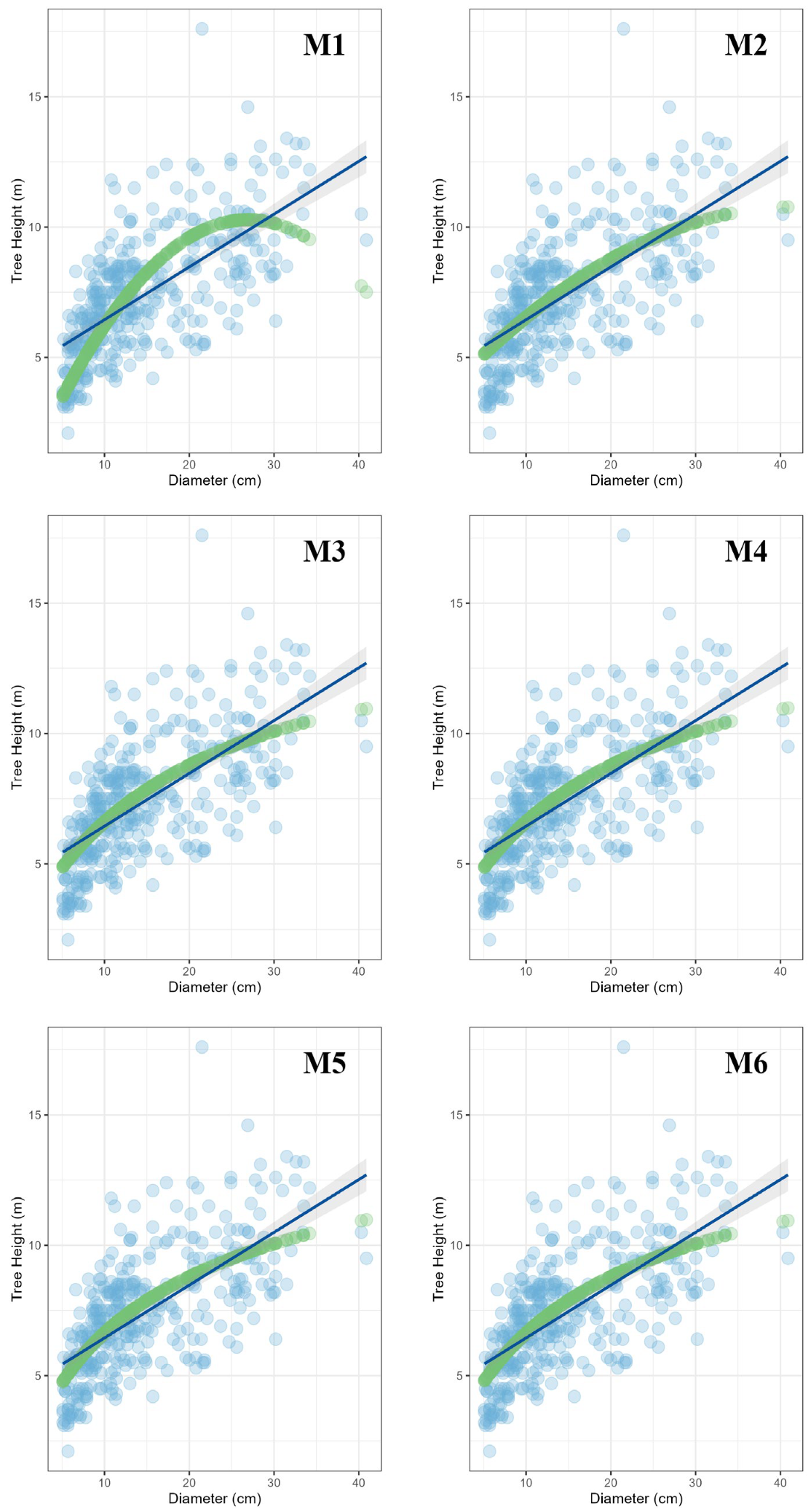 Forests 16 00457 g007