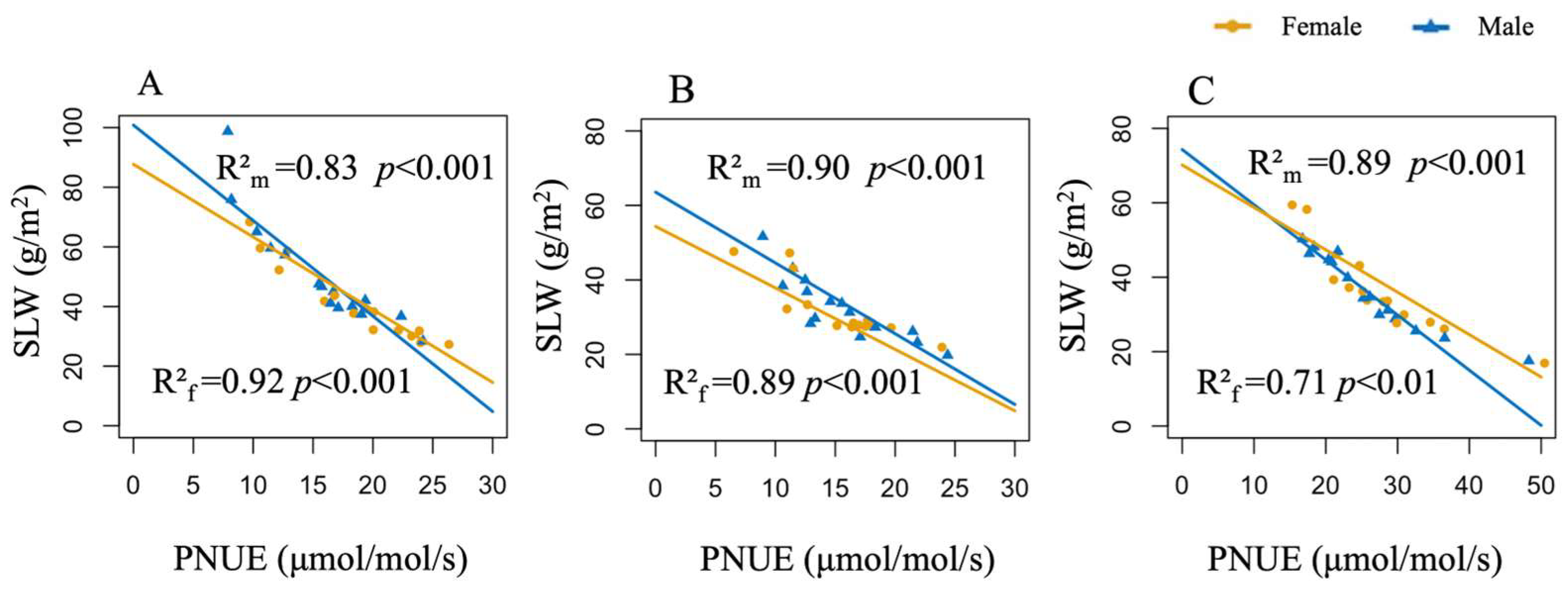 Forests 16 00458 g004