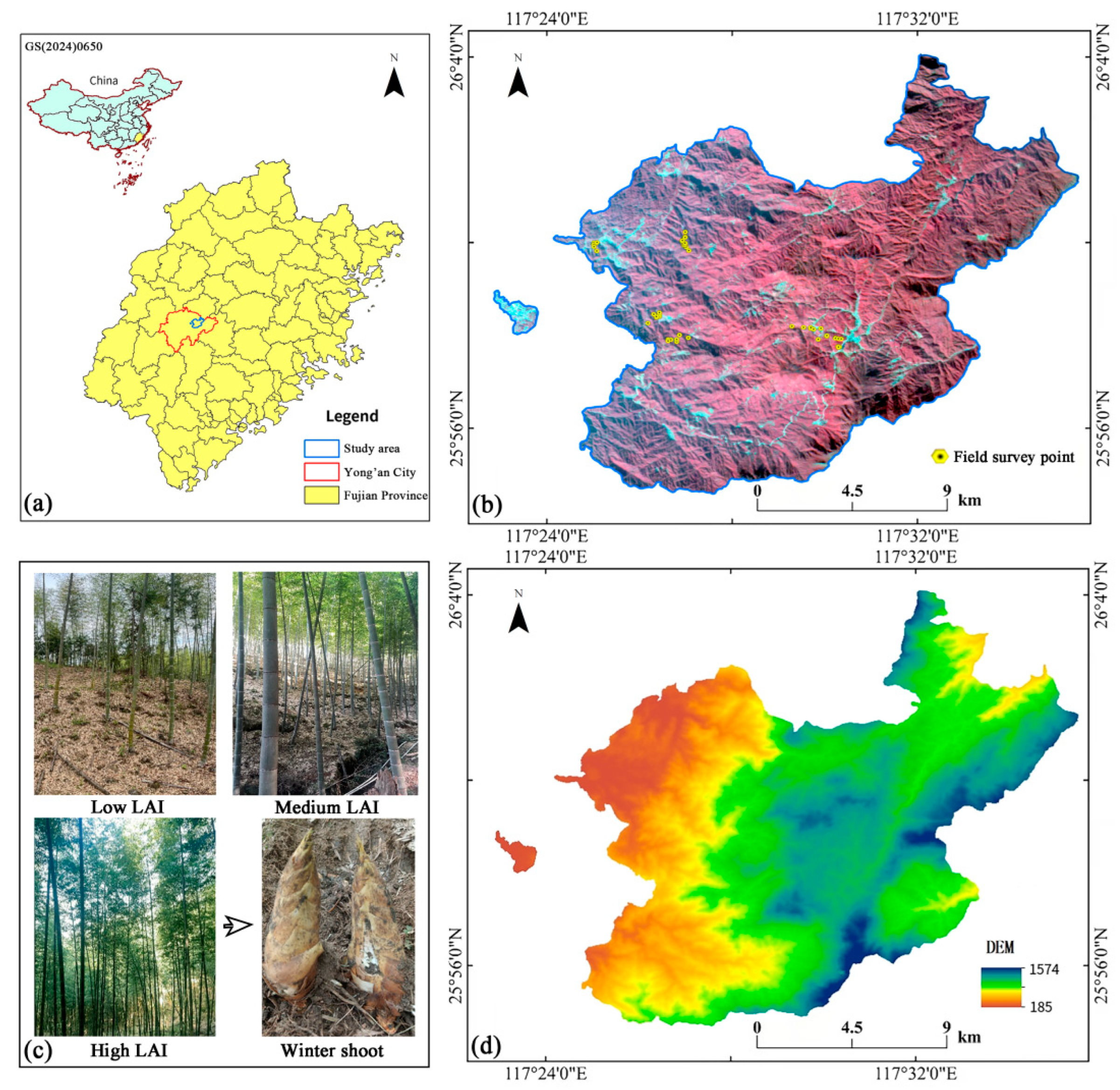 Forests 16 00464 g001 Forests 16 00464 g001