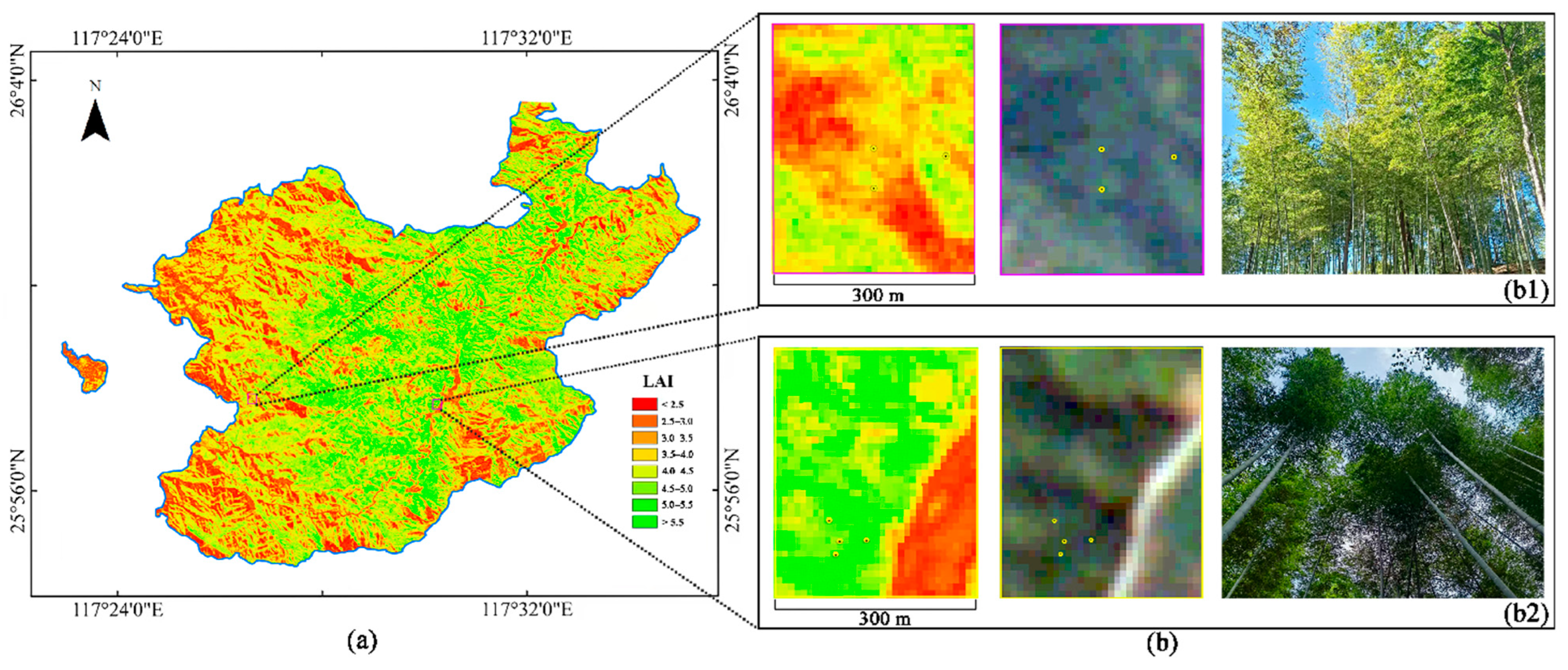 Forests 16 00464 g006 Forests 16 00464 g006