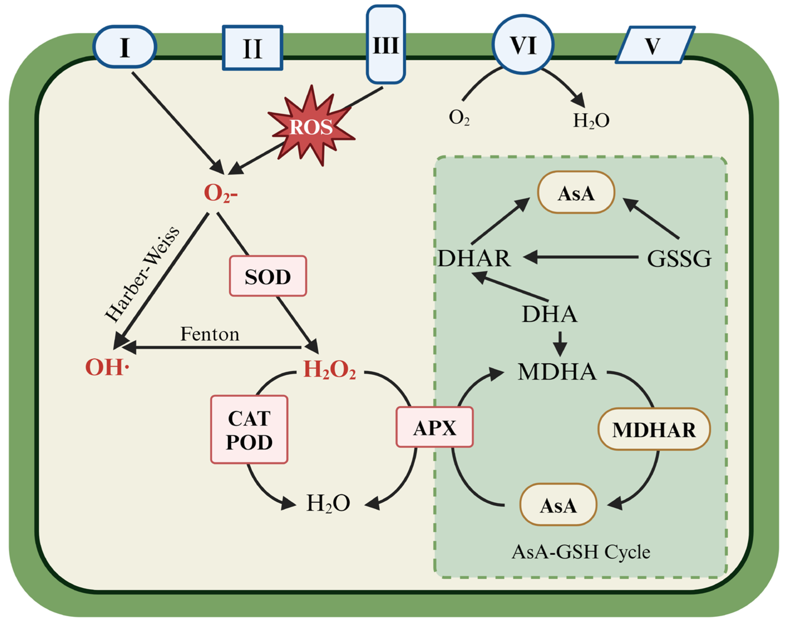 Forests 16 00467 g002