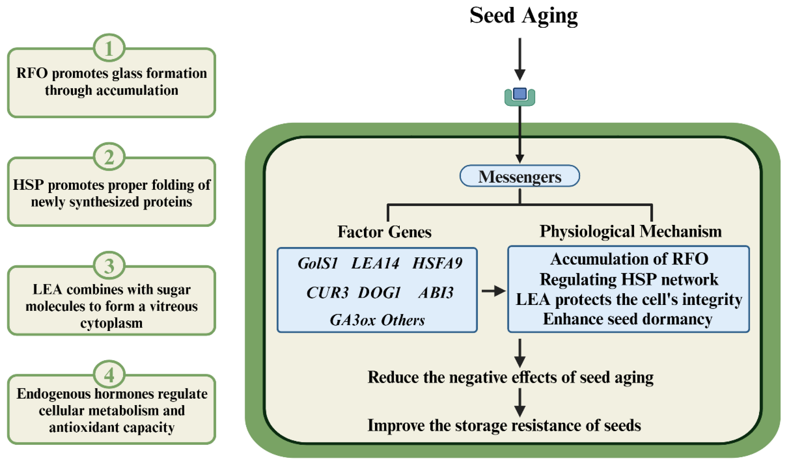 Forests 16 00467 g004