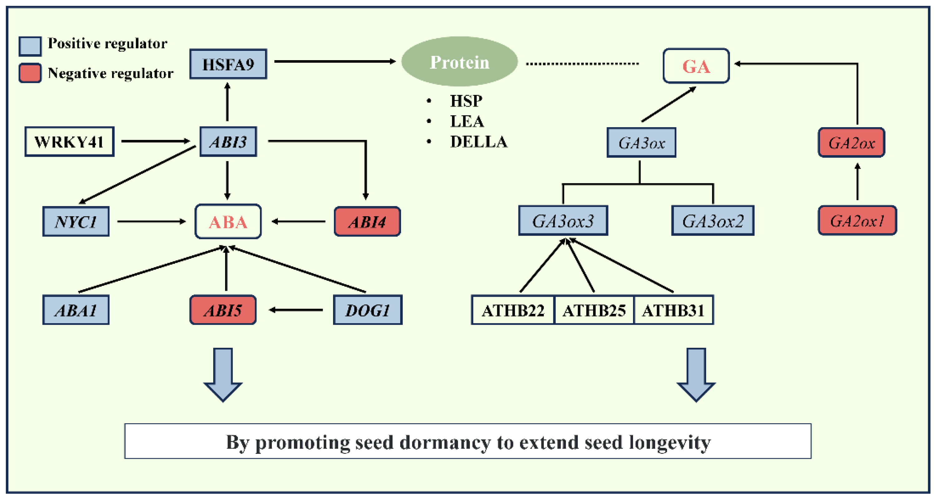 Forests 16 00467 g005