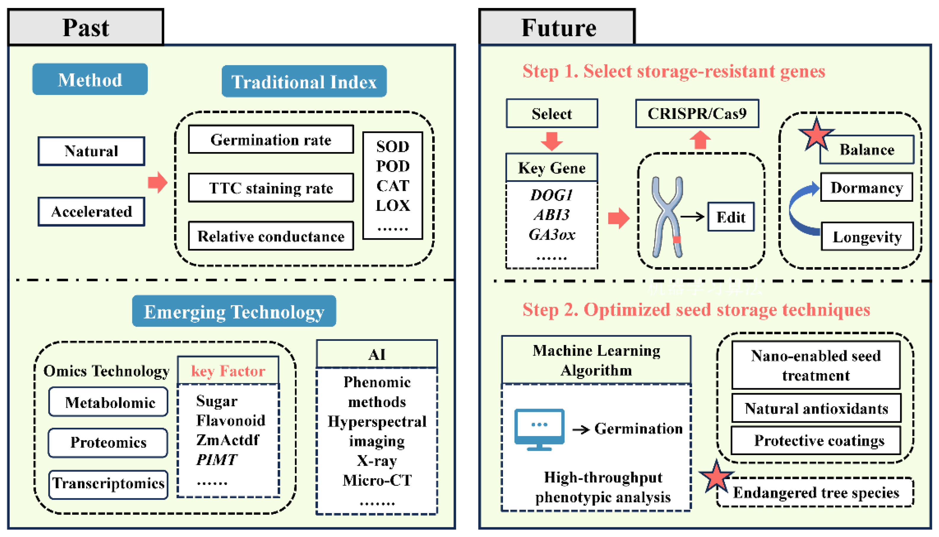 Forests 16 00467 g006