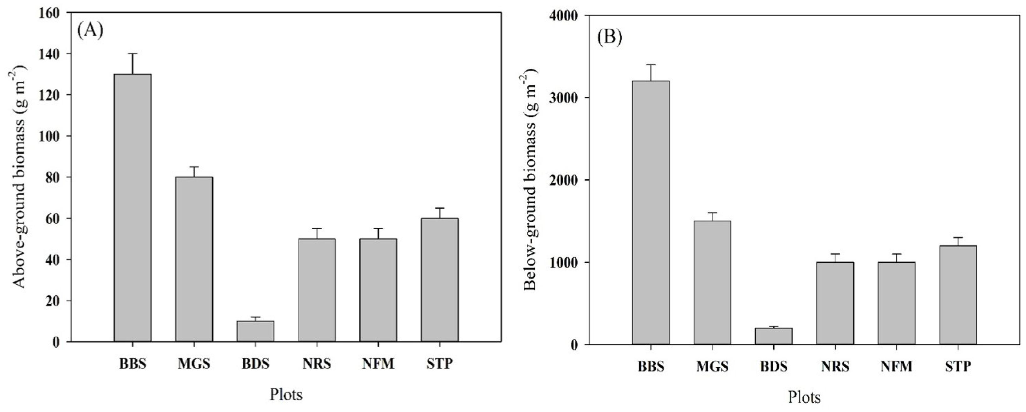 Forests 16 00469 g004