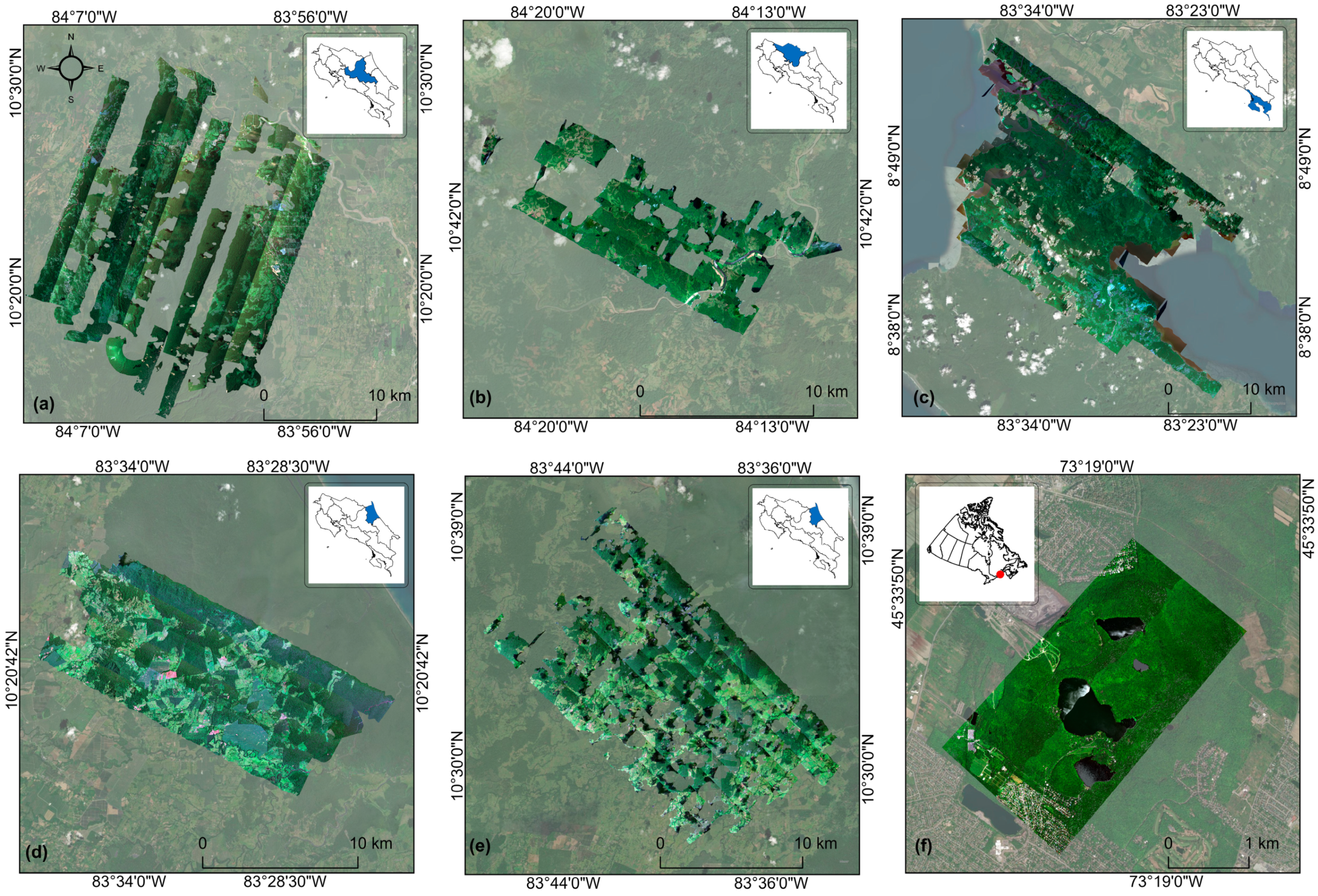 Forests 16 00477 g001