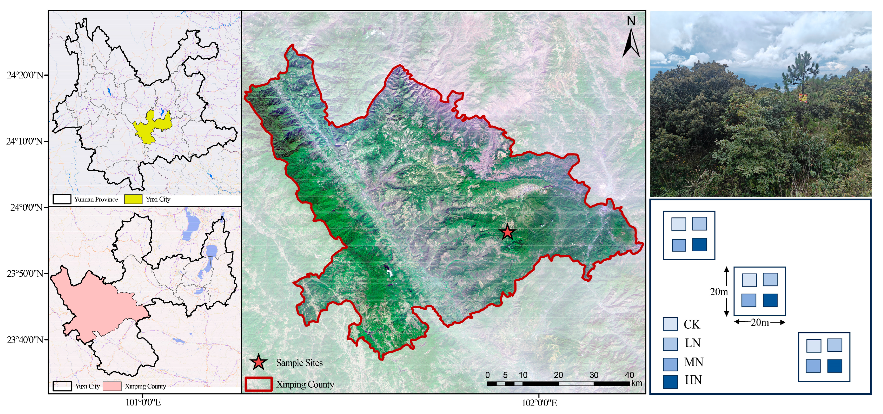 Forests 16 00481 g001