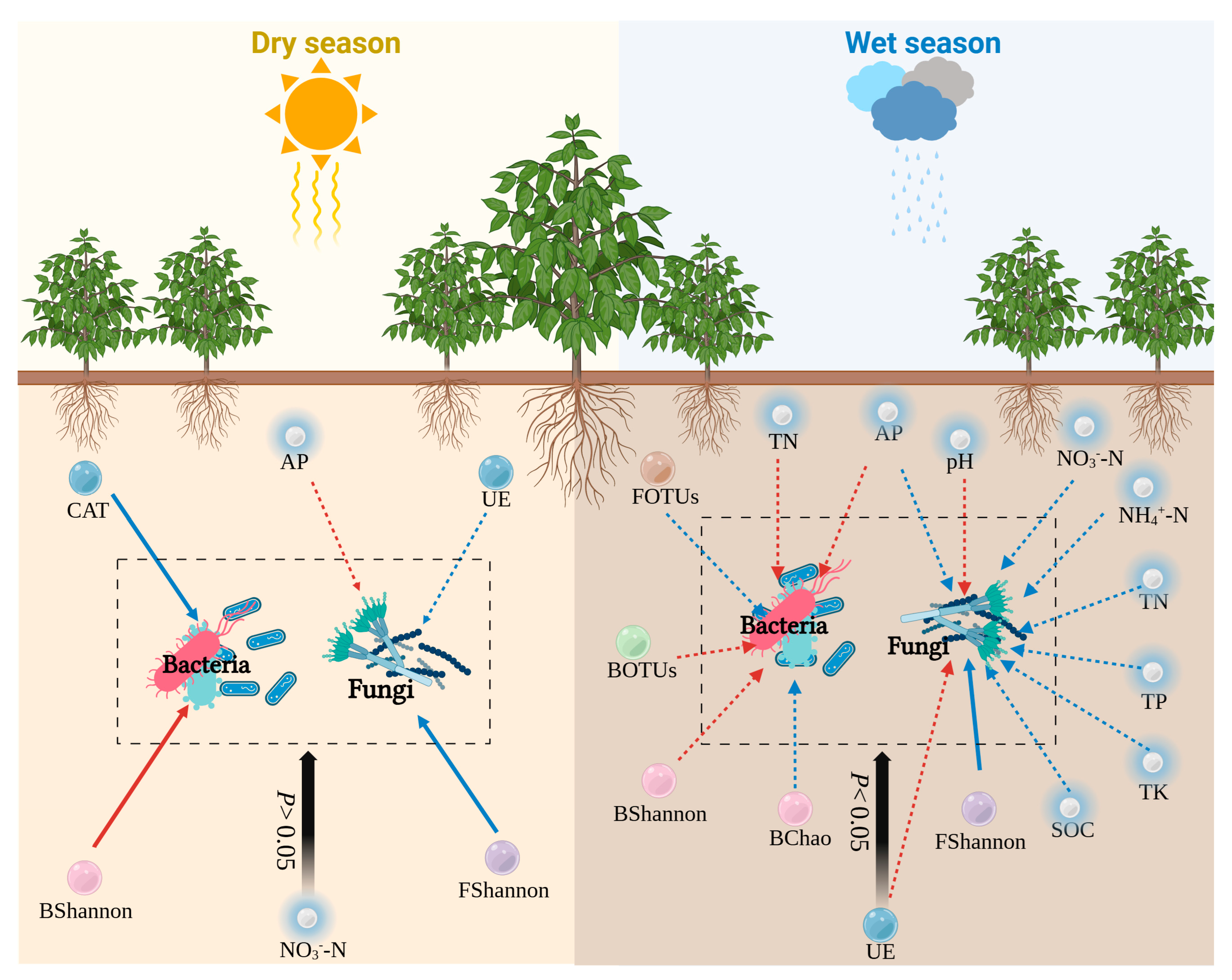 Forests 16 00481 g012