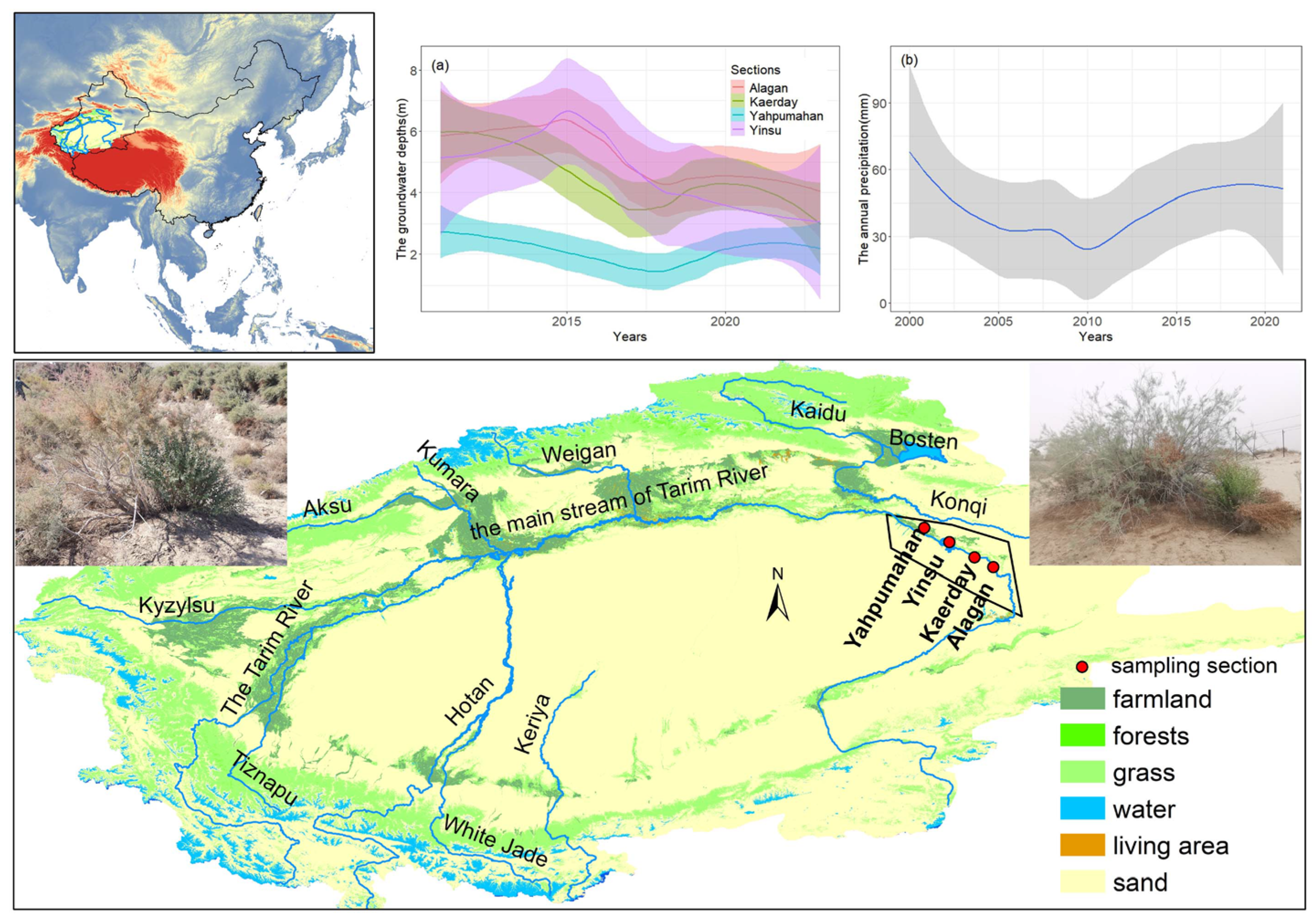 Forests 16 00482 g001