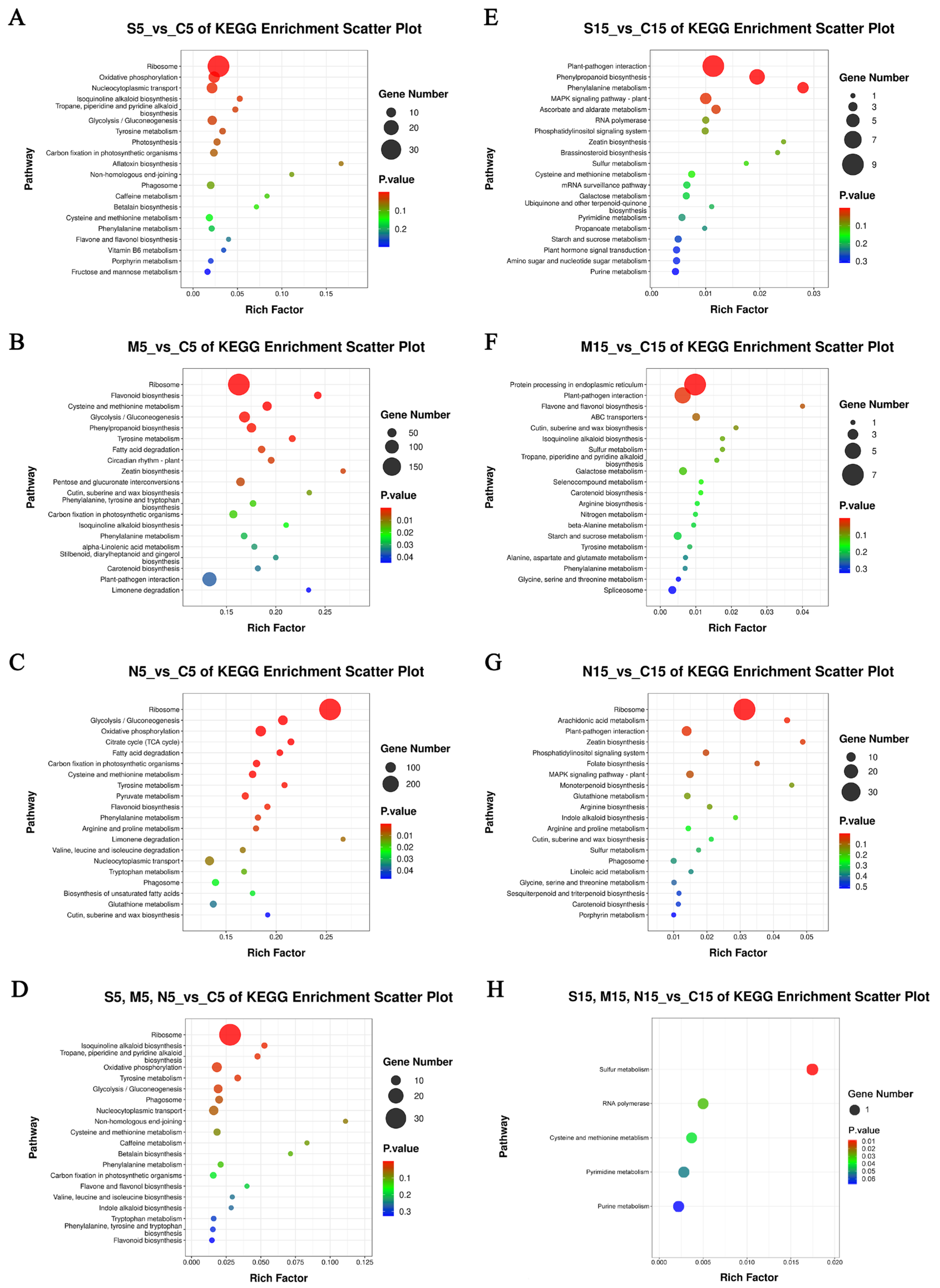 Forests 16 00485 g009