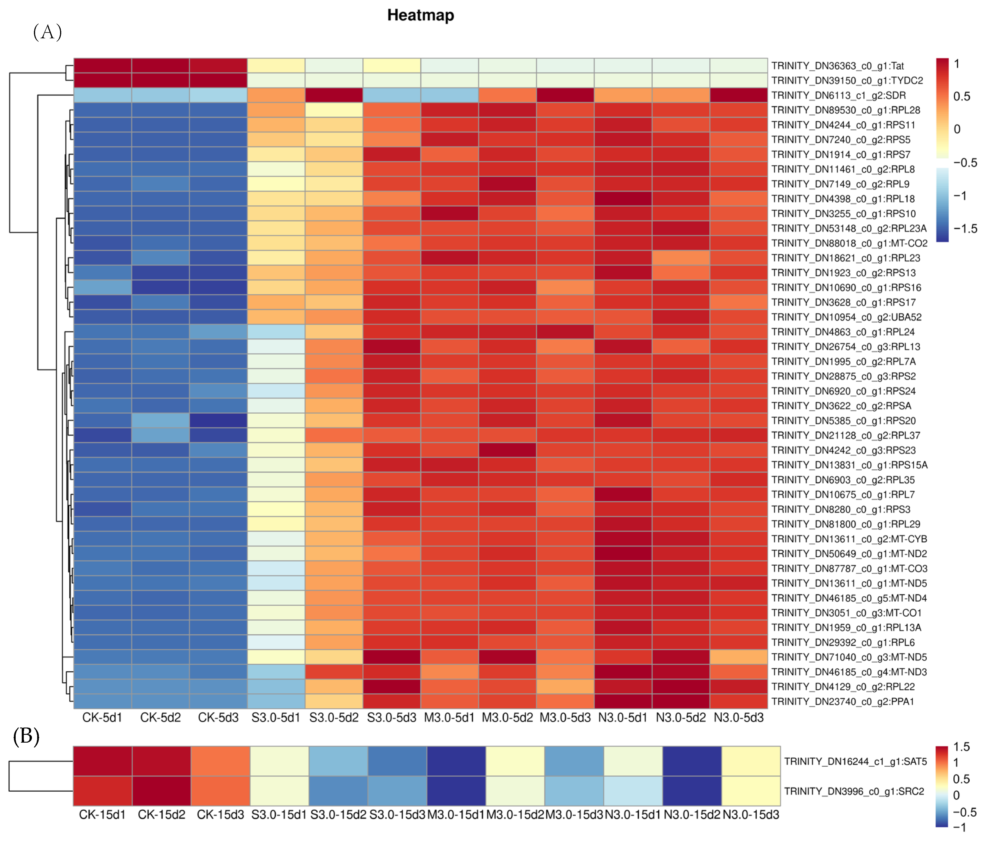 Forests 16 00485 g010