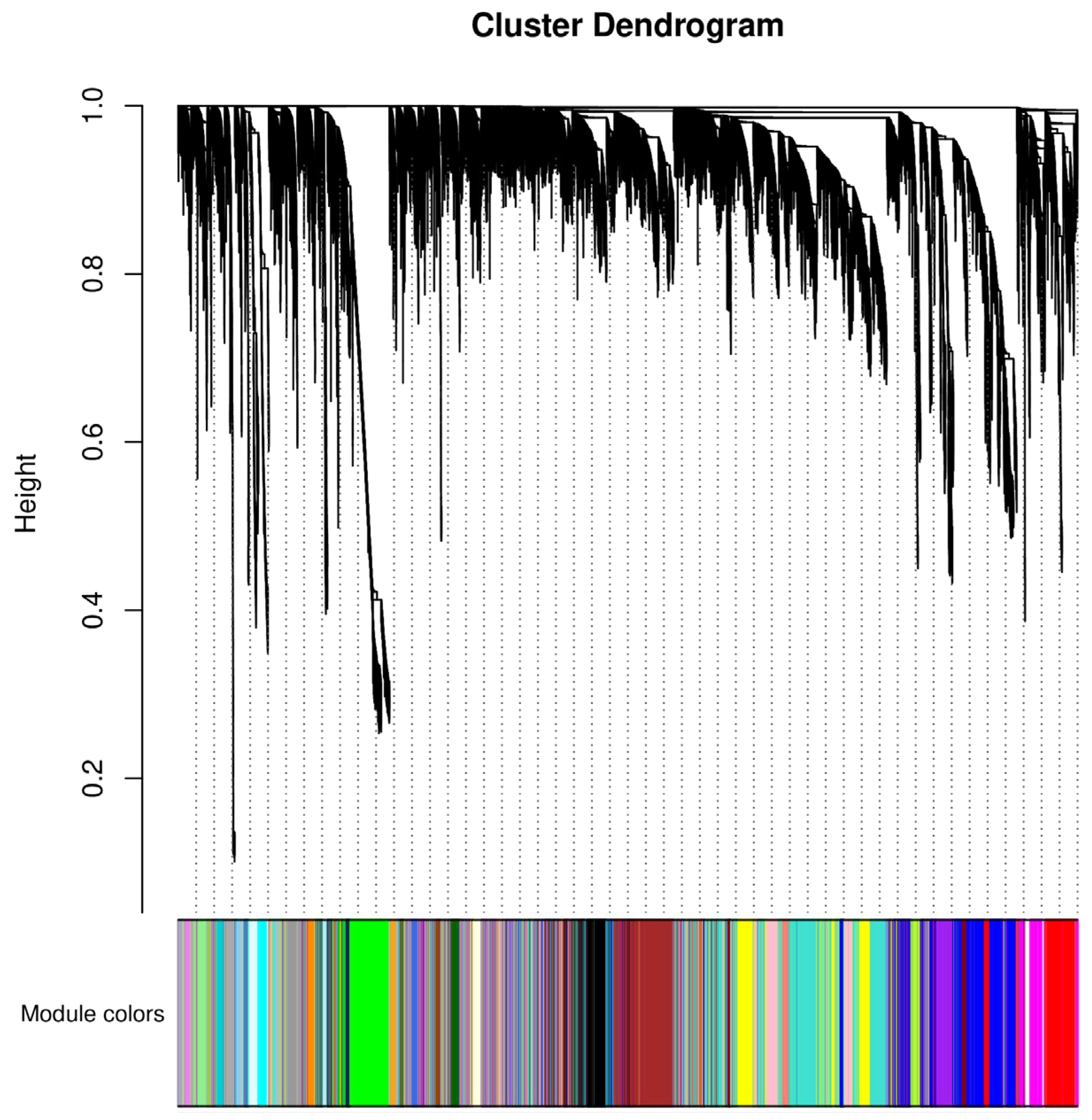 Forests 16 00485 g011