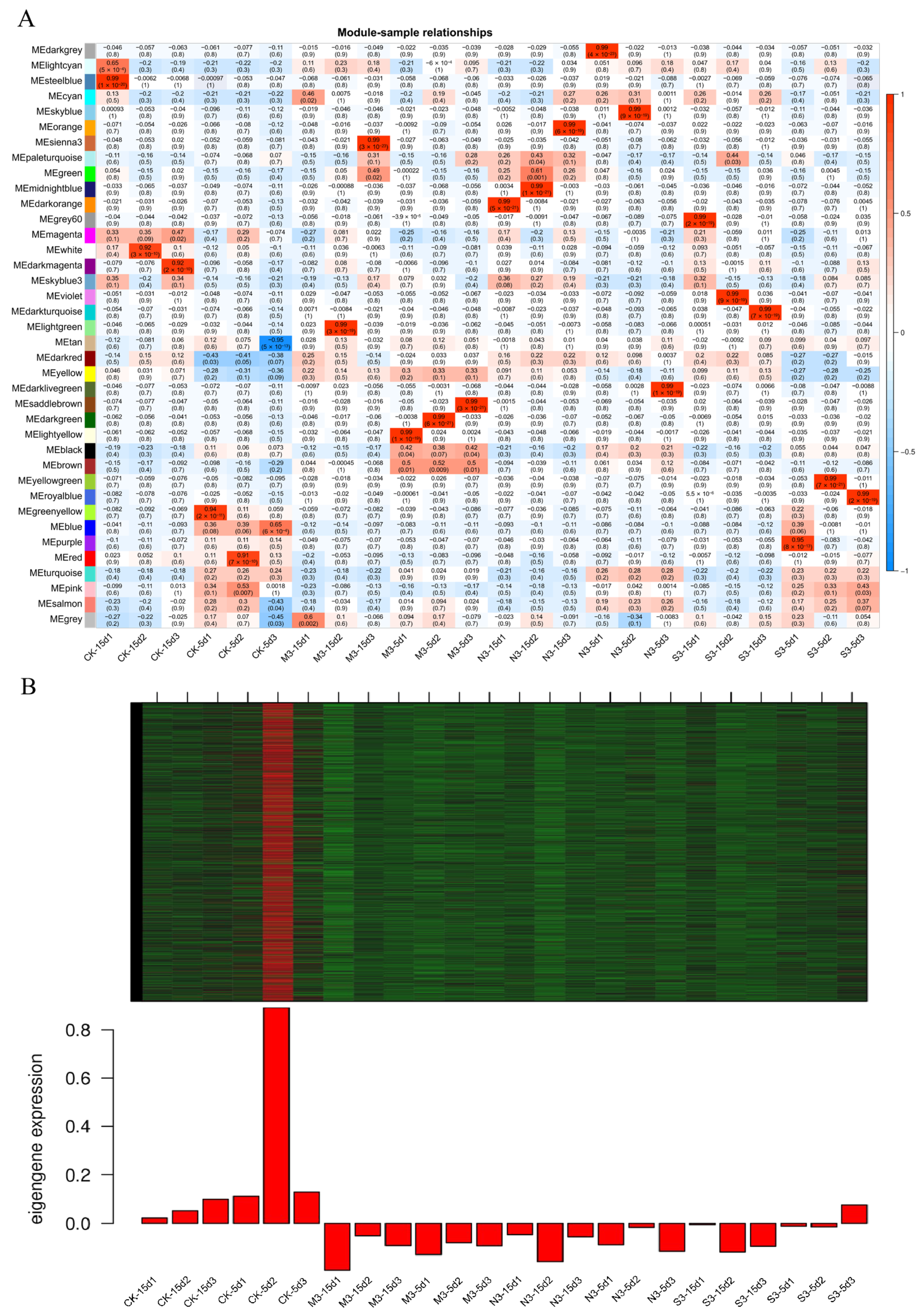Forests 16 00485 g012