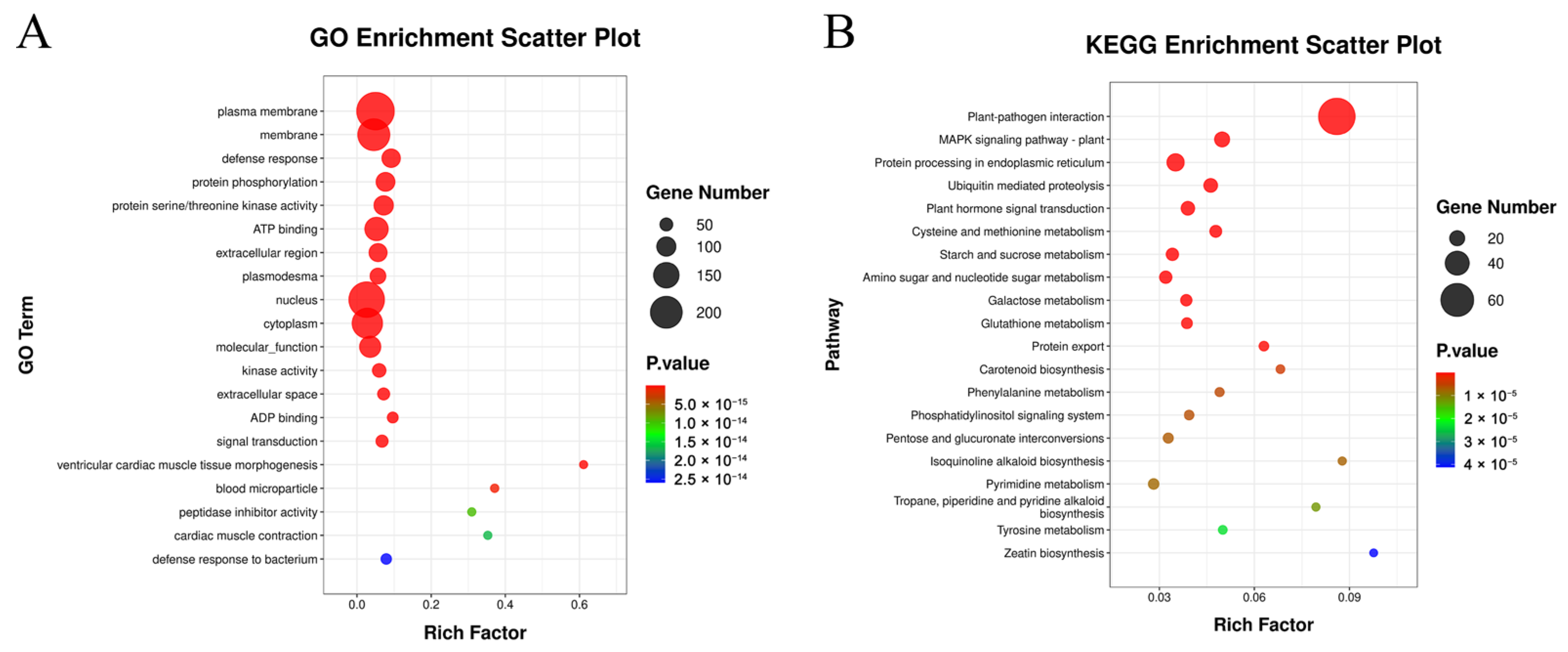 Forests 16 00485 g013